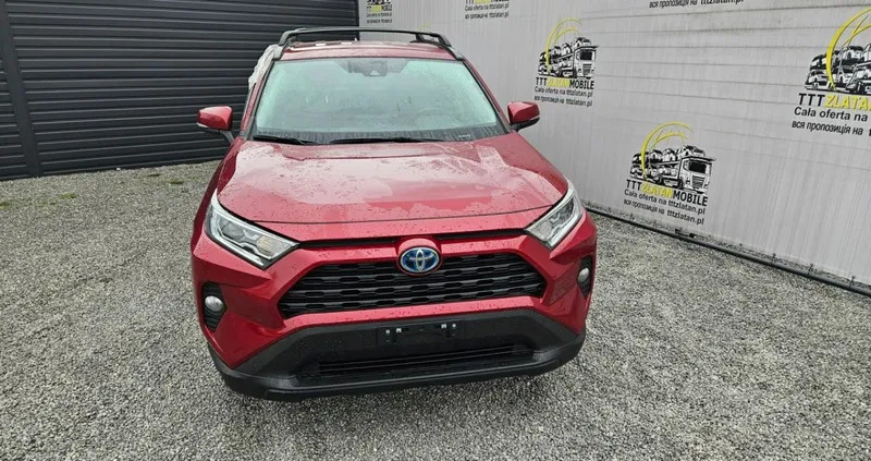 świętokrzyskie Toyota RAV4 cena 94800 przebieg: 73454, rok produkcji 2021 z Krynki